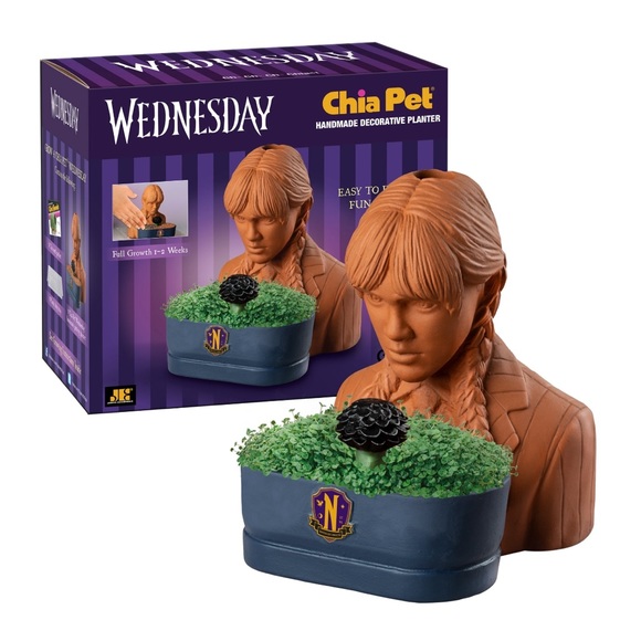 Chia Pet Wednesday w/ Seed Pack Decorative Pottery Planter Grow DIY Adams Family - Picture 3 of 5